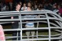 Thumbs/tn_Loungefest 2015 0962.jpg